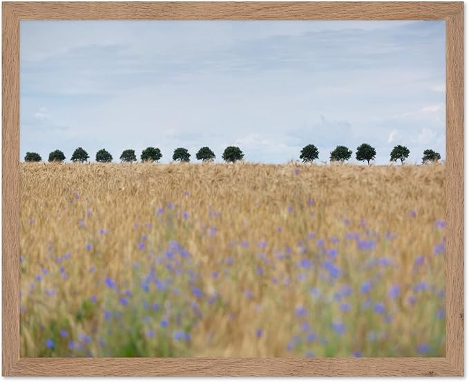 Monem Art Golden Meadow Horizon Landscape Print - Minimalist Nature Photography Poster - Wall Decor for Living Room, Bedroom or Office - 8x10 Beige Framed Wall Art by Mareike Bohmer