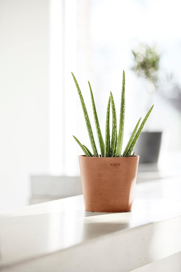Ecopots Amsterdam Mini Durable Modern Round Recycled-Based Composite Flower Pot Planter, Terracotta Color, 7"