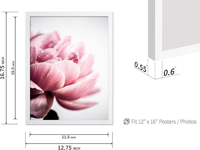 Monem Art Pink Peony Macro Photography Print - Minimalist Floral Art Poster - Wall Decor for Living Room, Bedroom or Office - 12x16 White Framed Wall Art by Mareike Bohmer