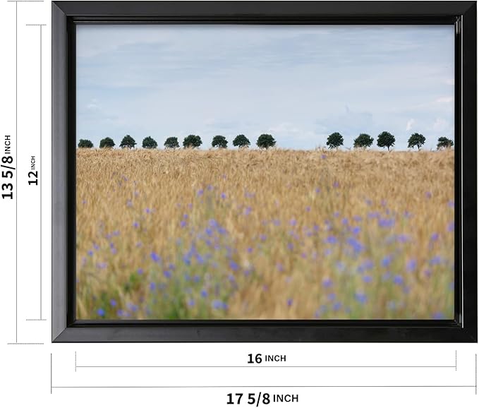 Monem Art Golden Meadow Horizon Landscape Print - Minimalist Nature Photography Poster - Wall Decor for Living Room, Bedroom or Office - 12x16 Black Framed CANVAS Wall Art by Mareike Bohmer