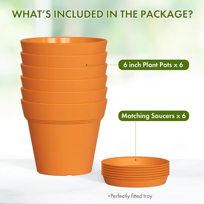 WSMKSZ 6 Inch Thick Plastic Plant Pots with Drainage Holes and Trays – 6 Pack Nursery Pots for Indoor & Outdoor House Plants, Seedling Starter Planters for Garden Flowers, Terracotta