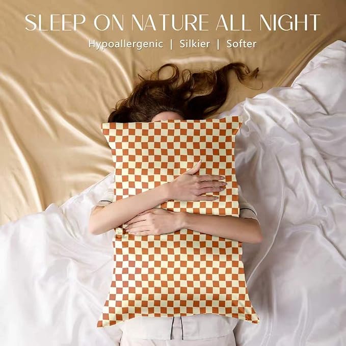 ZIMASILK 100% Pure Mulberry Silk Pillow Cases for Hair and Skin, Soft, Hypoallergenic & Smooth, Both Sides Grade 6A Silk, with Hidden Zipper, Gift for Women Men, 1pc (King 20"x36", Checkered)