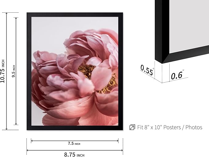 Monem Art Blush Pink Peony Print - Minimalist Floral Photography Poster - Wall Decor for Living Room, Bedroom or Office - 8x10 Black Framed Wall Art by Mareike Bohmer