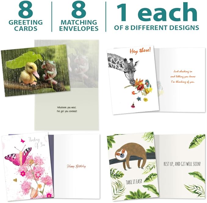 Tree-Free Greetings - Birthday Cards - Artful Designs - 8 Cards + Matching Envelopes - Made in USA - 100% Recycled Paper - 5"x7" - Thinking of You, Friendship, All Occasion, Thank You, Birthday (AGA1139)