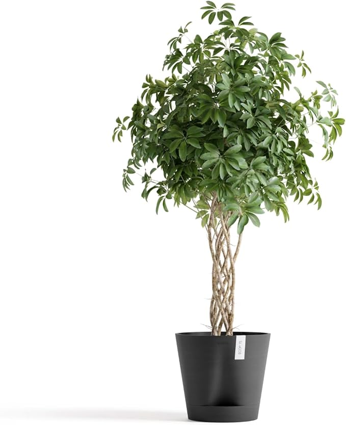 Ecopots Venice 2 Durable Modern Round Indoor/Outdoor Recycled-Based Composite Flower Pot Planter w/Water Reservoir, Dark Grey, 16"