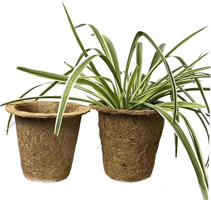 LABRIMP 6pcs Biodegradable Coir Succulent Planter Nursery Pots for Seedlings and Indoor Garden, Eco-Friendly Peat Plant Holders Suitable for Vegetable and Herb Growth