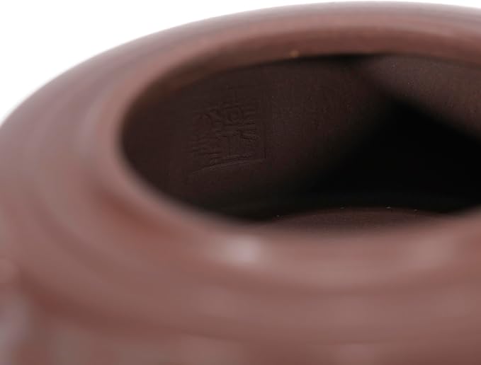 Zisha Teapot, Chinese Yixing Clay Handmade Tea Pot 10 Oz, Infuse Brew Kung Fu Loose Leaf Tea Maker (Panlong,Zini Purple Clay)