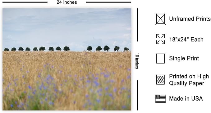 Monem Art Golden Meadow Horizon Landscape Print - Minimalist Nature Photography Poster - Wall Decor for Living Room, Bedroom or Office - 18x24 Unframed Wall Art by Mareike Bohmer
