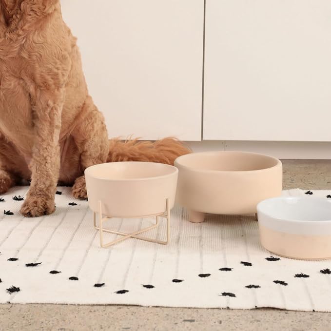 Waggo Simple Solid Dog Bowl and Dog Bowl Stand - Single Iron Stand with Single Ceramic Feeder or Water Bowl (Matte Buttercream, Small)