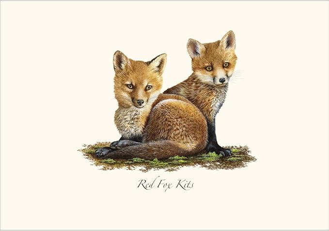Earth Sky + Water - Red Fox Kits Notecard Set - 8 Blank Cards with Envelopes