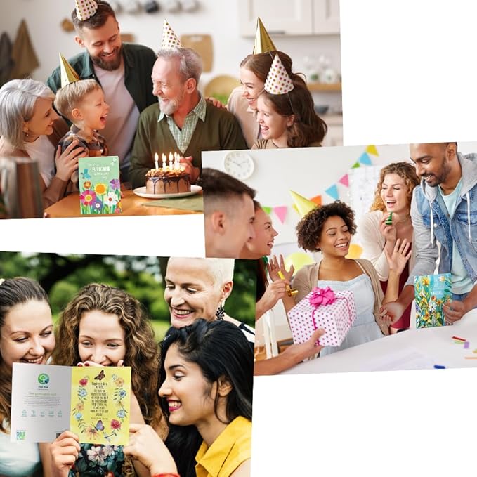 Tree-Free Greetings - Birthday Cards - Artful Designs - 8 Assorted Cards + Matching Envelopes - Made in USA - 100% Recycled Paper - 5 x 7 - Summer Days (GA60284)