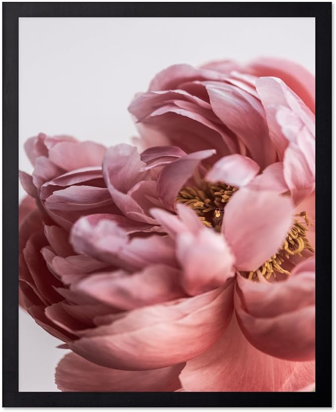Monem Art Blush Pink Peony Print - Minimalist Floral Photography Poster - Wall Decor for Living Room, Bedroom or Office - 12x16 Black Framed Wall Art by Mareike Bohmer