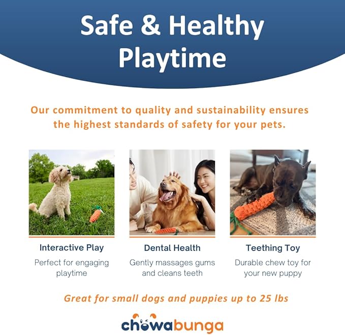 Bucky The Squirrel Dog Toy Handmade Eco Cotton Rope Squirrel Toy for Dogs - Natural, Non-Toxic Dyes, Dog Chew Toys for Small & Medium Breed Dogs, Cats (Large)