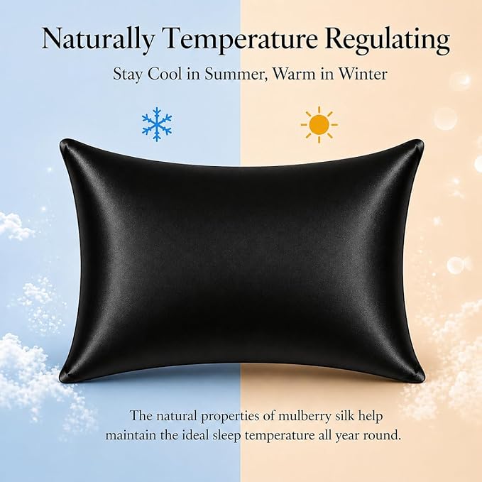 Hypoallergenic Pillow Case Made in USA, Premium Black Silk Pillow Cases, 6A Grade 22 Momme Pure Silk Pillowcase, Zipper Closure, Machine Washable, 1 Pc 20"x30" (Queen, Black)