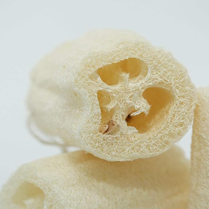 Natural Egyptian Loofah Sponge (2-Pack) - Exfoliating Body Scrubber for Women & Men, Organic Plant-Based Bath Sponge for Face, Body & Back Cleaning - Gentle Exfoliation for Soft Skin