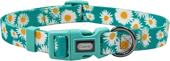 Dog Collar and Leash Set, Cute Daisy Pattern, Polyester Material, 5ft Leash, for Puppy Dogs.(Extra Small,Green Daisy)