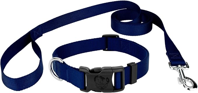 Country Brook Petz - Everyday Nylon Dog Collar and Leash - 10+ Cool Colors (3/8 Inch, 3XS, Royal Blue)