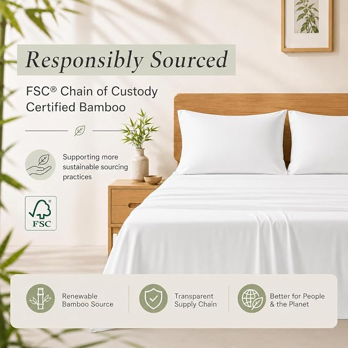TOSMO Luxury Pillow Case Set of 2 - Cooling Viscose Derived from Bamboo, Oeko-TEX, Breathabl Silky Soft Pillow Cases with Envelope Closure (King / 20x40, Classic White)
