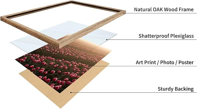 Monem Art Golden Tulip Field Sunset Photography Print - Romantic Spring Landscape Art Poster - Wall Decor for Living Room, Bedroom or Office - 16x20 Beige Framed Wall Art by Mareike Bohmer