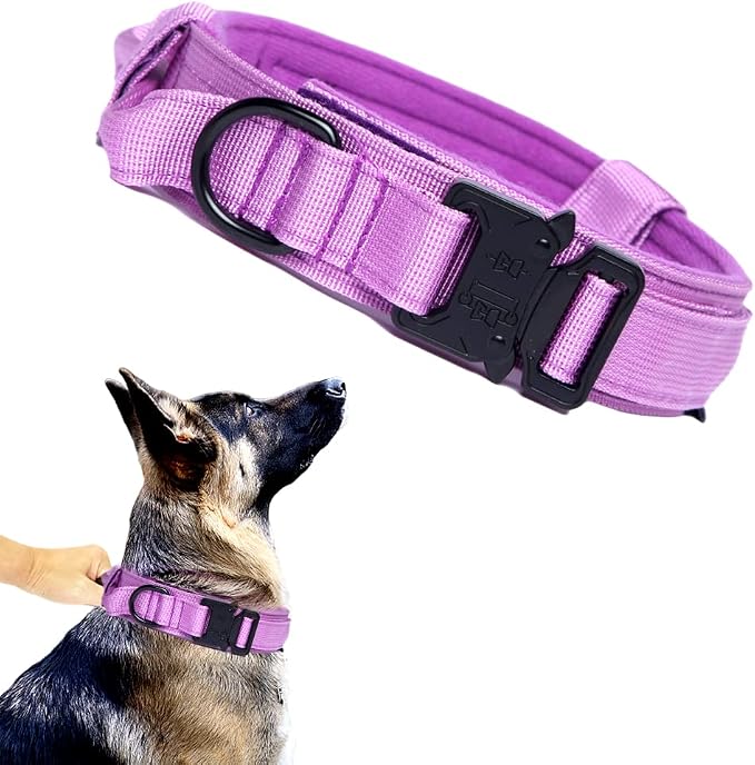 Tactical Dog Collar Adjustable Military Nylon Dog Collar with Control Handle and Heavy Duty Metal Buckle for Medium and Large Dogs (Purple,L)