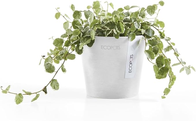 Ecopots Amsterdam Mini Durable Modern Round Recycled-Based Composite Flower Pot Planter, Pure White, 4"