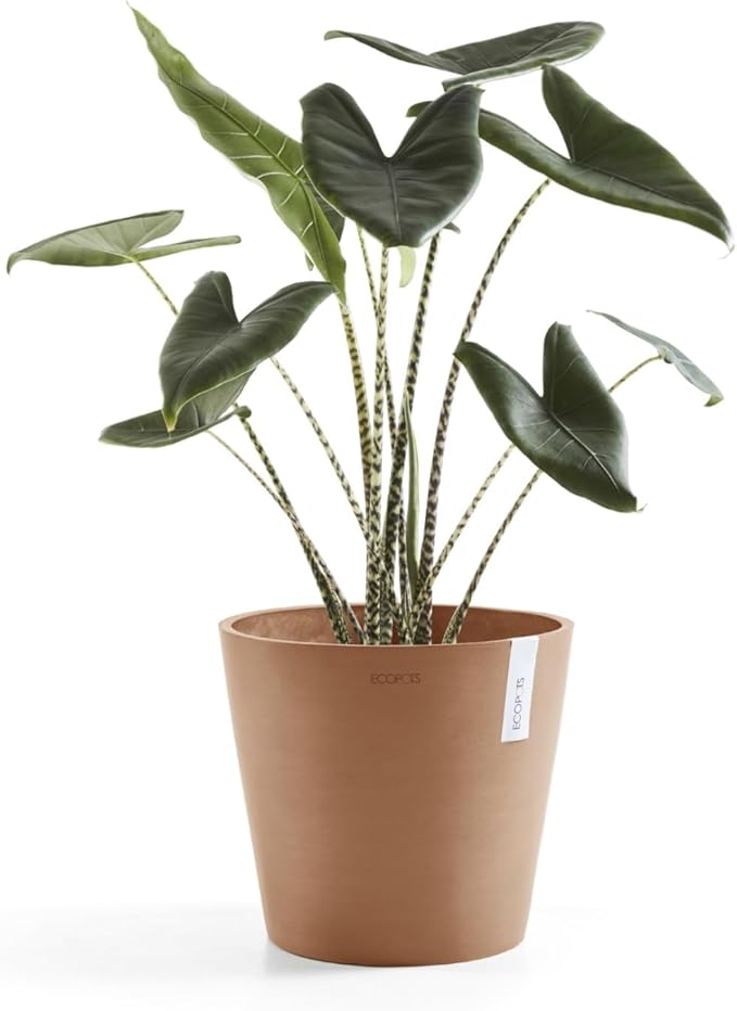 Ecopots Amsterdam Durable Modern Round Indoor/Outdoor Recycled-Based Composite Flower Pot Planter, Terracotta Color, 16"