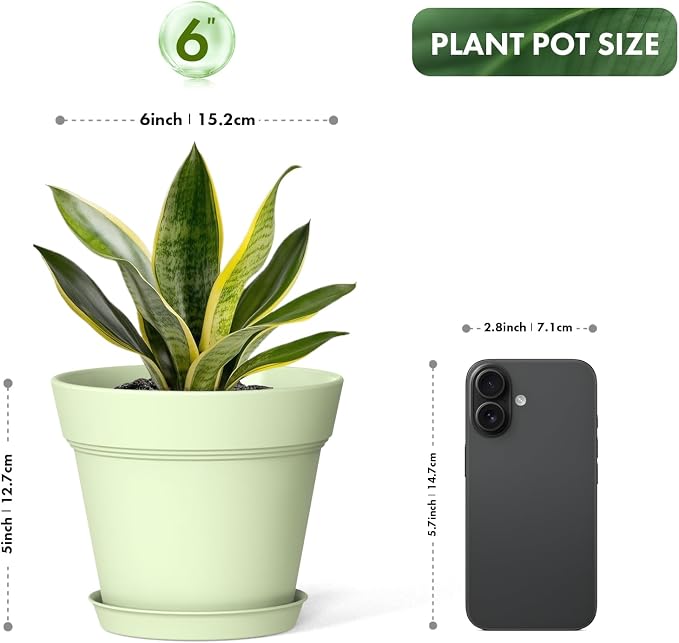 WSMKSZ 6 Inch Thick Plastic Plant Pots with Drainage Holes and Trays – 6 Pack Nursery Pots for Indoor & Outdoor House Plants, Seedling Starter Planters for Garden Flowers, Colorful