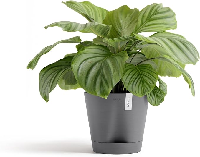 Ecopots Venice 2 Durable Modern Round Indoor/Outdoor Recycled-Based Composite Flower Pot Planter w/Water Reservoir, Grey, 12"