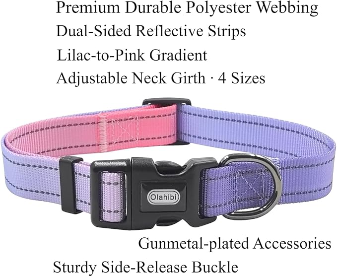 Dog Collar Leash Set, Gradient Color, with Safety Reflective Strips, 5 ft Matching Leash, Neoprene Padded Handle, Adjustable 4 Sizes for Small Medium Large Dogs.(S, Lilac Pink)