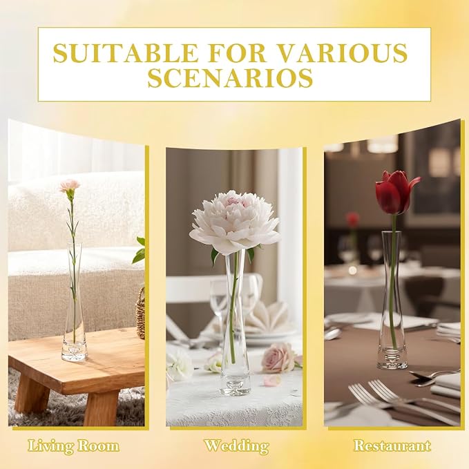 Clear Glass Small Bud Vase 8 Inches 1 Pack Narrow Necked Single Stem Vase Minimalist Modern for Home Office Table Decoration