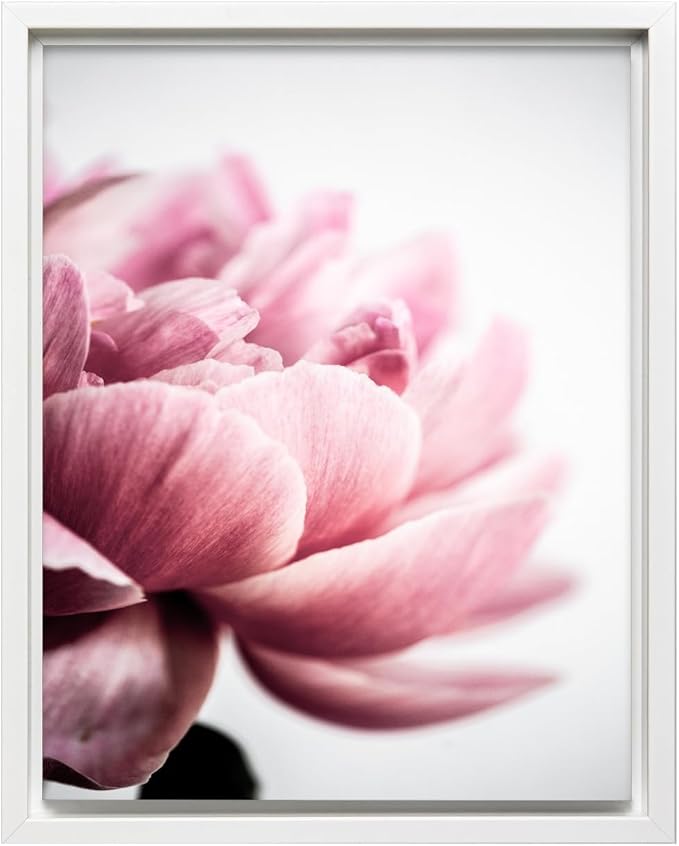 Monem Art Pink Peony Macro Photography Print - Minimalist Floral Art Poster - Wall Decor for Living Room, Bedroom or Office - 8x10 White Framed CANVAS Wall Art by Mareike Bohmer