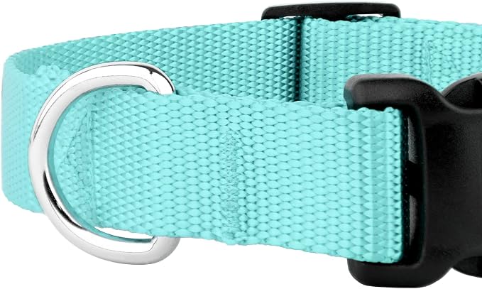 Country Brook Petz - Everyday Nylon Dog Collar and Leash - 10+ Cool Colors (3/4 Inch, Small, Light Cyan)