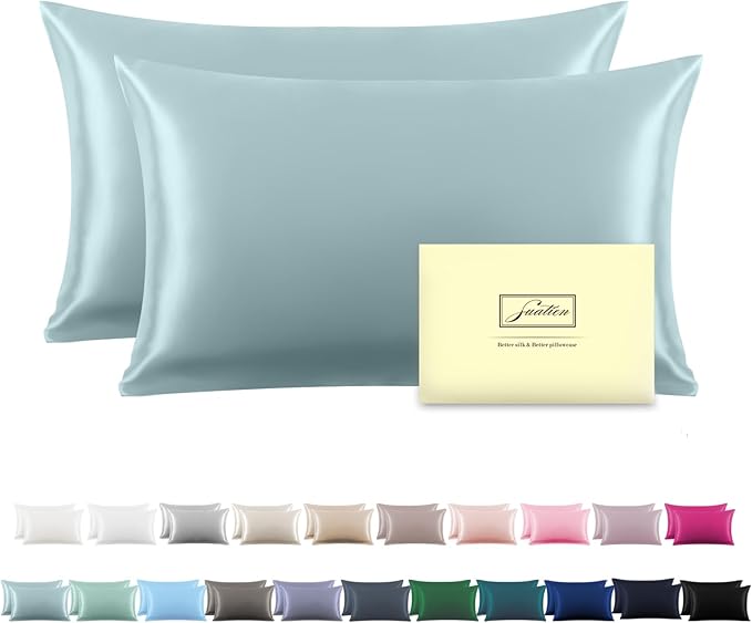 Silk Pillow Cases 2 Pack,Soft Breathable and Sliky Queen Size Pillow Cases Set of 2,Natural Mulberry Silk Pillowcase Set of 2 for Hair and Skin with Hidden Zipper (Blue Haze,20"X 30",2pcs)