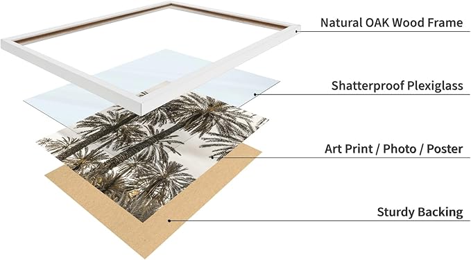 Monem Art Vintage Palm Tree Photography Print - Minimalist Tropical Landscape Poster - Wall Decor for Living Room, Bedroom or Office - 12x16 White Framed Wall Art by Mareike Bohmer