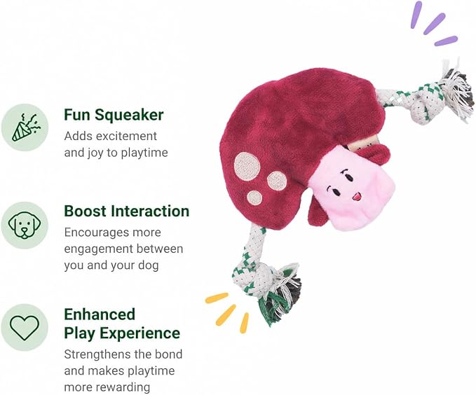 Green Sheep Puppy Plush Dog Toy, No Stuffing Squeaky Toy with Recycled Cotton Rope for Teething, Comfort and Gentle Play, Small Dogs and Puppies, Mushroom