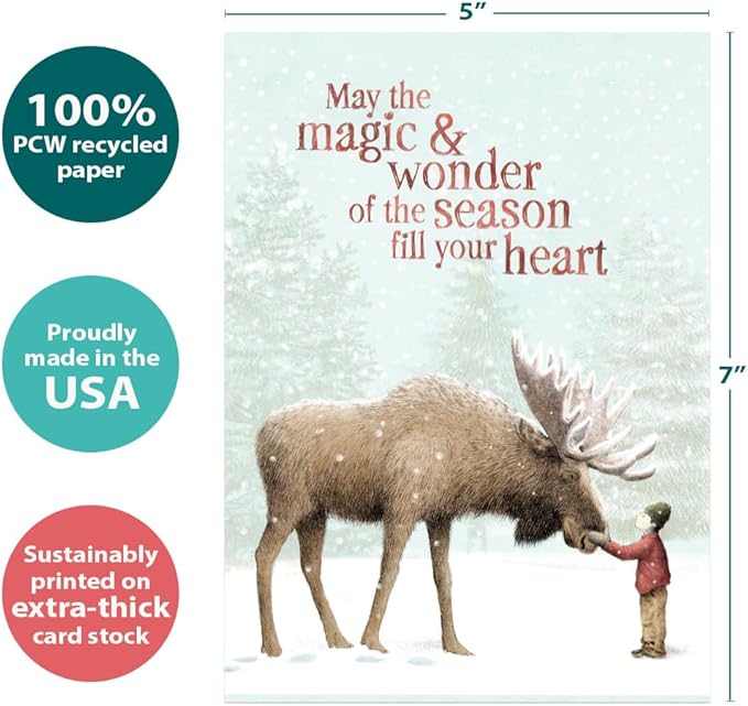 Tree-Free Greetings - Season's Greeting Cards - Artful Designs - 16 Assorted Cards + Matching Envelopes - Made in USA - 100% Recycled Paper - 5 x 7 - Dreams & Wishes (GP54095)