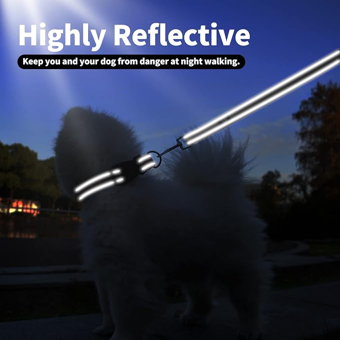 IVY&LANE Reflective Dog Collar and Leash Set,Adjustable Neoprene Padded Dog Collars for Puppy, Breathable Nylon Pet Collar for Small Medium Large Dogs (Small,Black)
