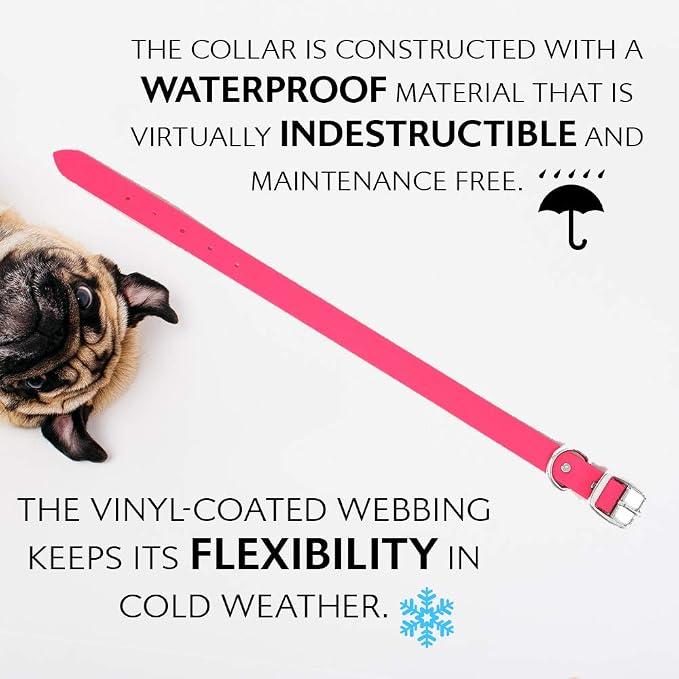 Regal Dog Products Medium Pink Waterproof Dog Collar and Leash Set | Heavy Duty Double Buckle & D Ring - 5'ft Leash | Adjustable Biothane Dog Collar | Chew Resistant Waterproof Collar for Dogs