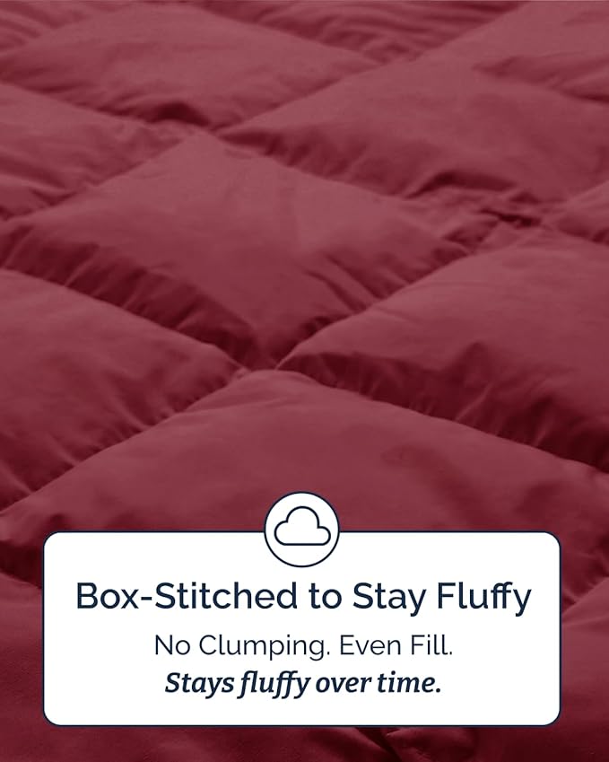 Twin Size, Burgundy Alternative Down Comforter - Warm, Lightweight & Breathable Hotel Quality Bedding Set for Men, Women, Kids & Teens - All Season Oversized Cooling Microfiber Duvet Insert Comforter