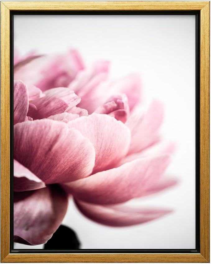 Monem Art Pink Peony Macro Photography Print - Minimalist Floral Art Poster - Wall Decor for Living Room, Bedroom or Office - 18x24 Gold Framed CANVAS Wall Art by Mareike Bohmer