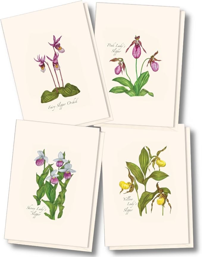 Earth Sky + Water - Native Orchid Assortment Assortment Notecard Set - 8 Blank Cards with Envelopes (2 each of 4 styles)