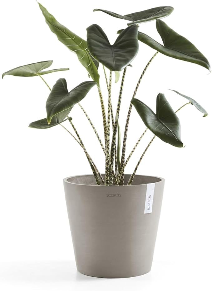 Ecopots Amsterdam Durable Modern Round Indoor/Outdoor Recycled-Based Composite Flower Pot Planter, Taupe, 12"