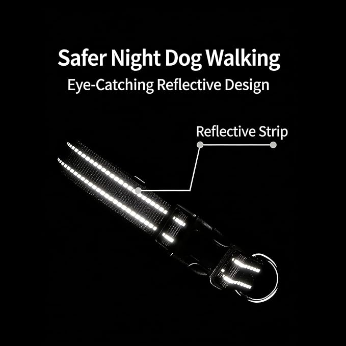 Dog Collar Leash Set, Gradient Color, with Safety Reflective Strips, 5 ft Matching Leash, Neoprene Padded Handle, Adjustable 4 Sizes for Small Medium Large Dogs.(M, Green Orange)