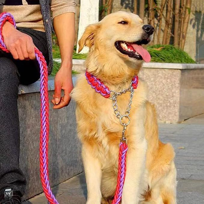 Love Dream Dog Collar and Leash Set, Heavy Duty Nylon Braided Rope Strong 4 FT Dog Leash and Martingale Training Collar for Small Medium Large Dogs Training and Walking (Red & Purple)