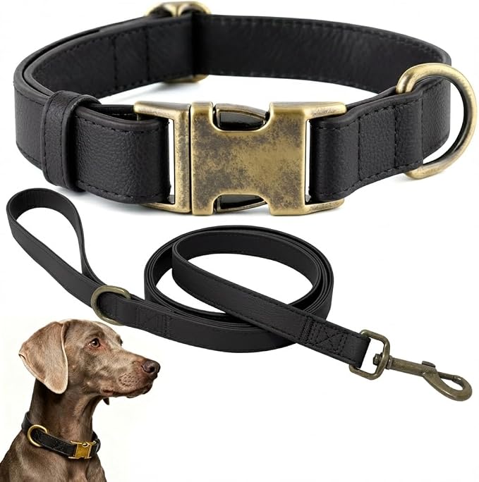 Silicone Dog Collar and Leash Set, Waterproof & Odor-Proof Puppy Collar for Small Dogs, Soft Flexible Leather-Look Dog Collars, Durable Thick Adjustable Pet Collar (Black, Large (16-24.5" Neck))
