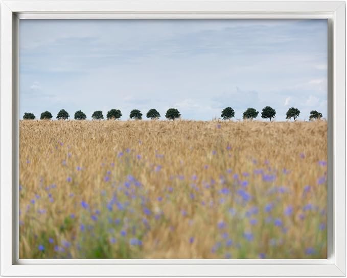 Monem Art Golden Meadow Horizon Landscape Print - Minimalist Nature Photography Poster - Wall Decor for Living Room, Bedroom or Office - 18x24 White Framed CANVAS Wall Art by Mareike Bohmer