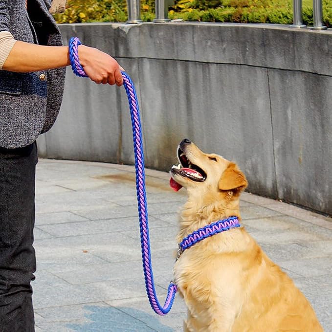 Love Dream Dog Collar and Leash Set, Heavy Duty Nylon Braided Rope Strong 4 FT Dog Leash and Martingale Training Collar for Small Medium Large Dogs Training and Walking (Blue & Purple)