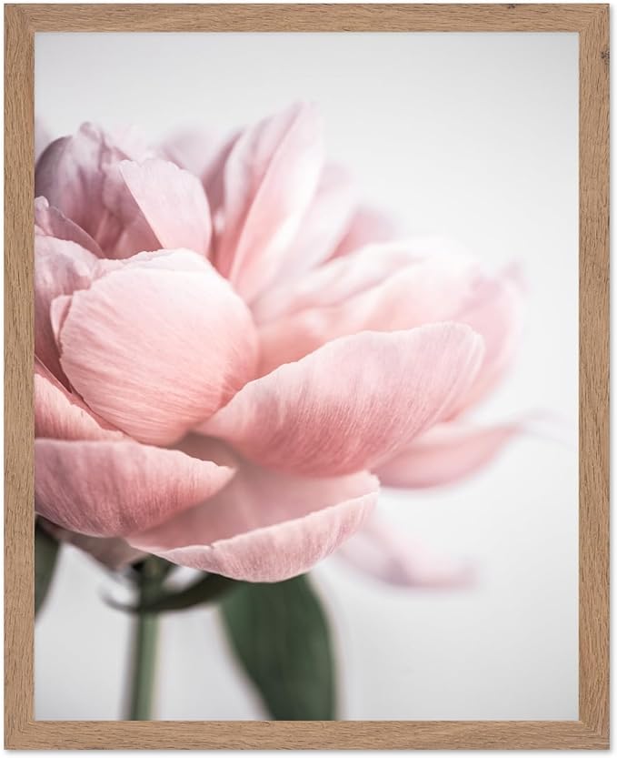 Monem Art Soft Pink Peony Macro Photography Print - Minimalist Floral Art Poster - Wall Decor for Living Room, Bedroom or Office - 16x20 Beige Framed Wall Art by Mareike Bohmer