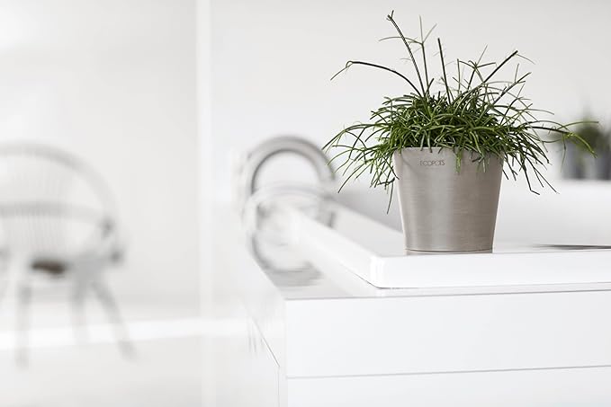 Ecopots Amsterdam Mini Durable Modern Round Recycled-Based Composite Flower Pot Planter, Taupe, 4"