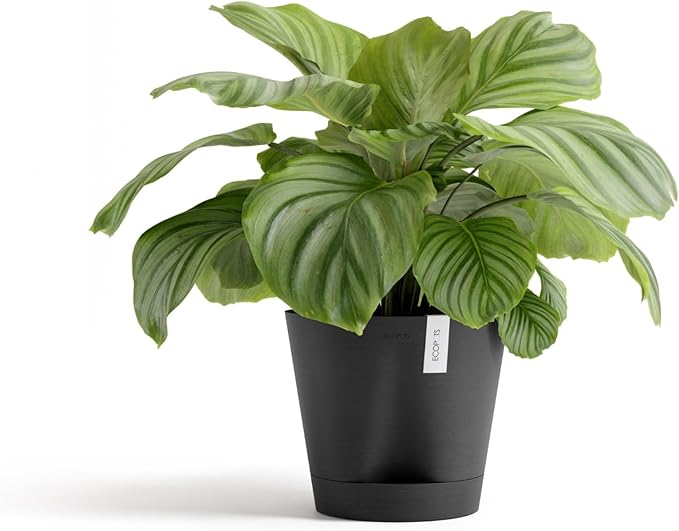 Ecopots Venice 2 Durable Modern Round Indoor/Outdoor Recycled-Based Composite Flower Pot Planter w/Water Reservoir, Dark Grey, 12"